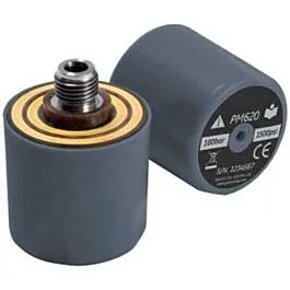 Druck PM620-165G Pressure Module