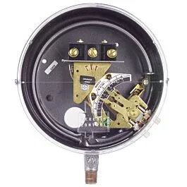 Dwyer DS-7231-153-1 Bourdon Tube Pressure Switch