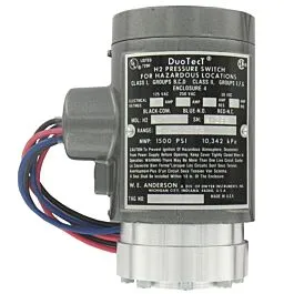 Dwyer H2S-2 Duotect Pressure Switch
